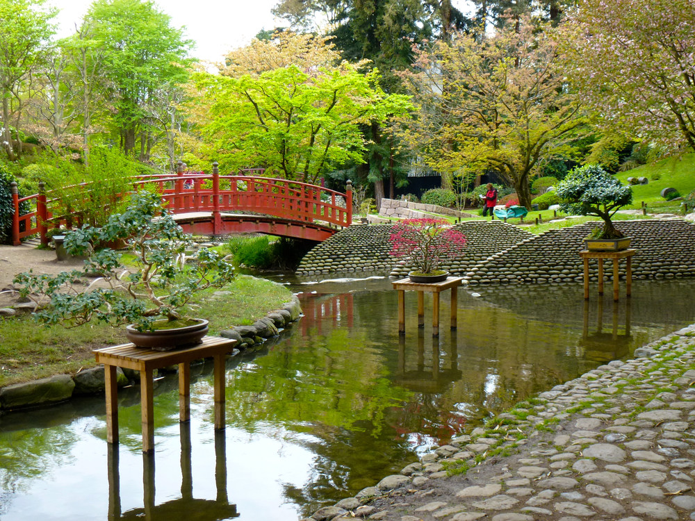 Japanese garden