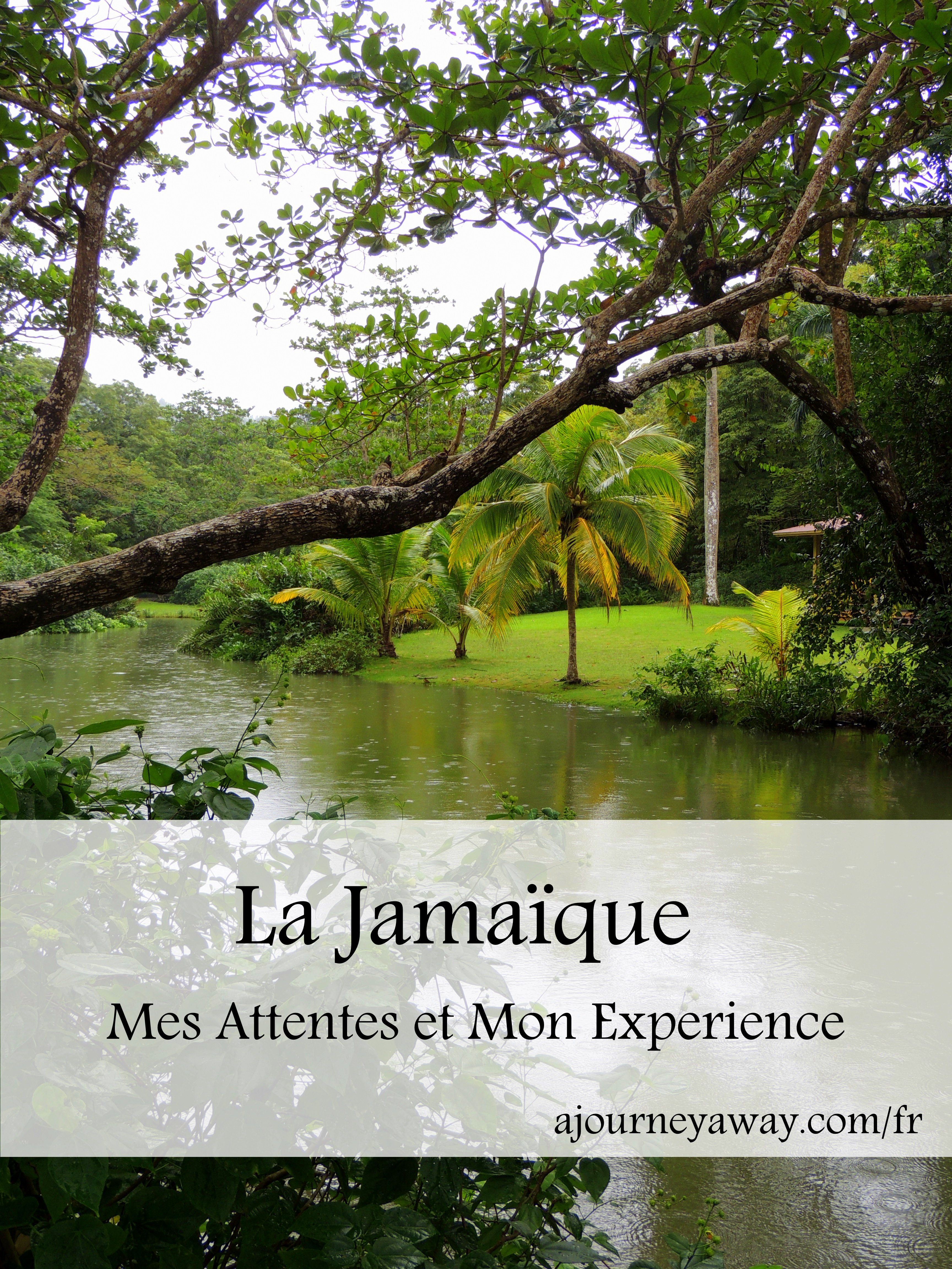 Mes attentes et mon expérience de la Jamaïque