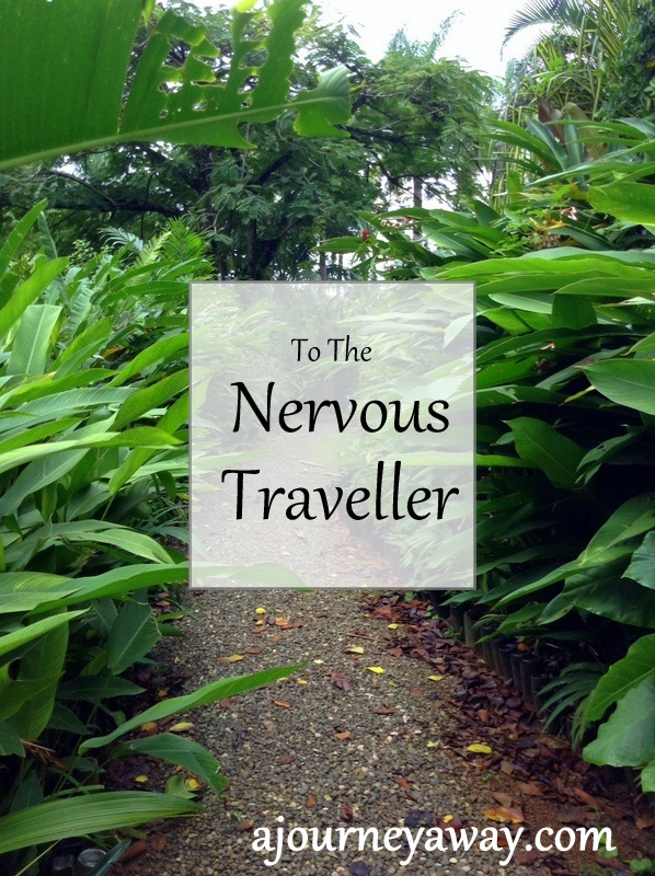 To the nervous traveller