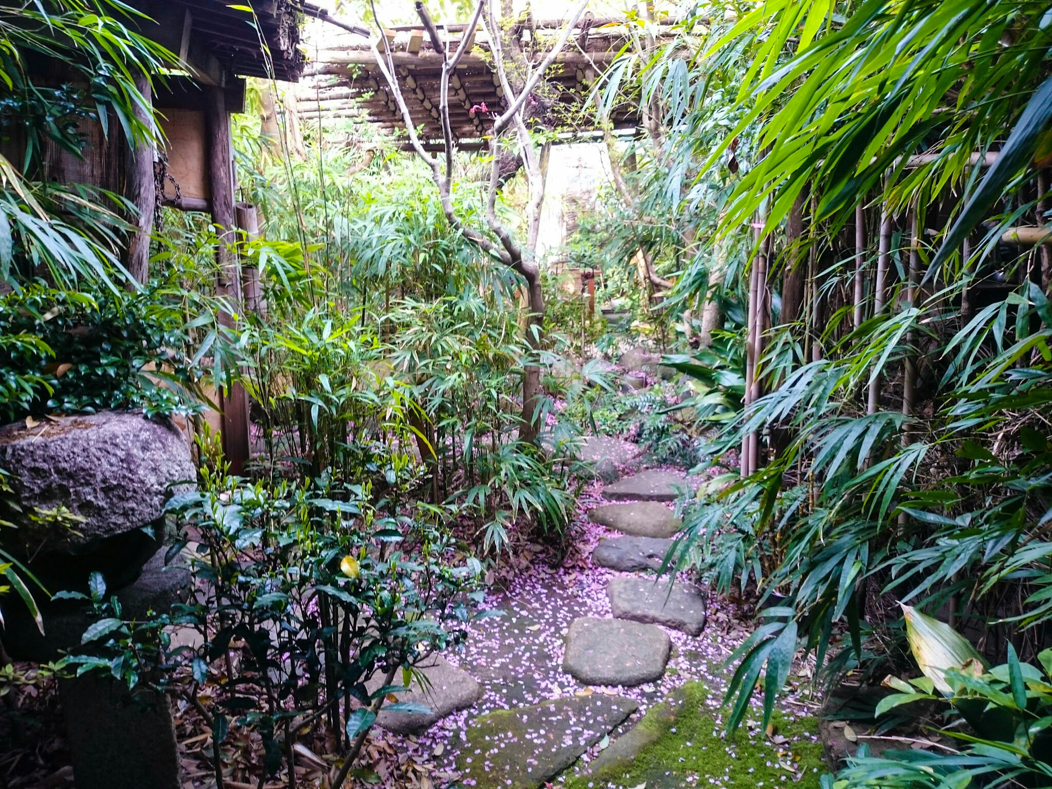Tea house garden