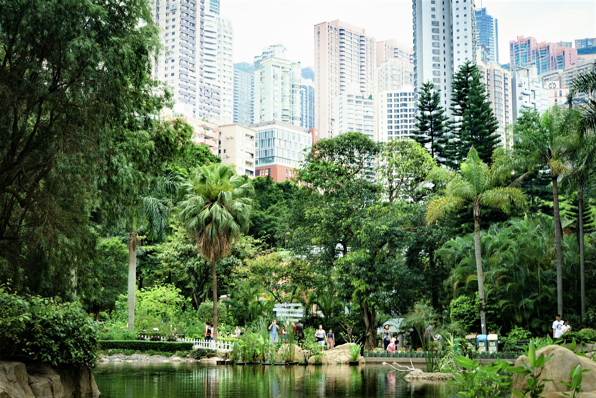 Le parc d'Hong Kong