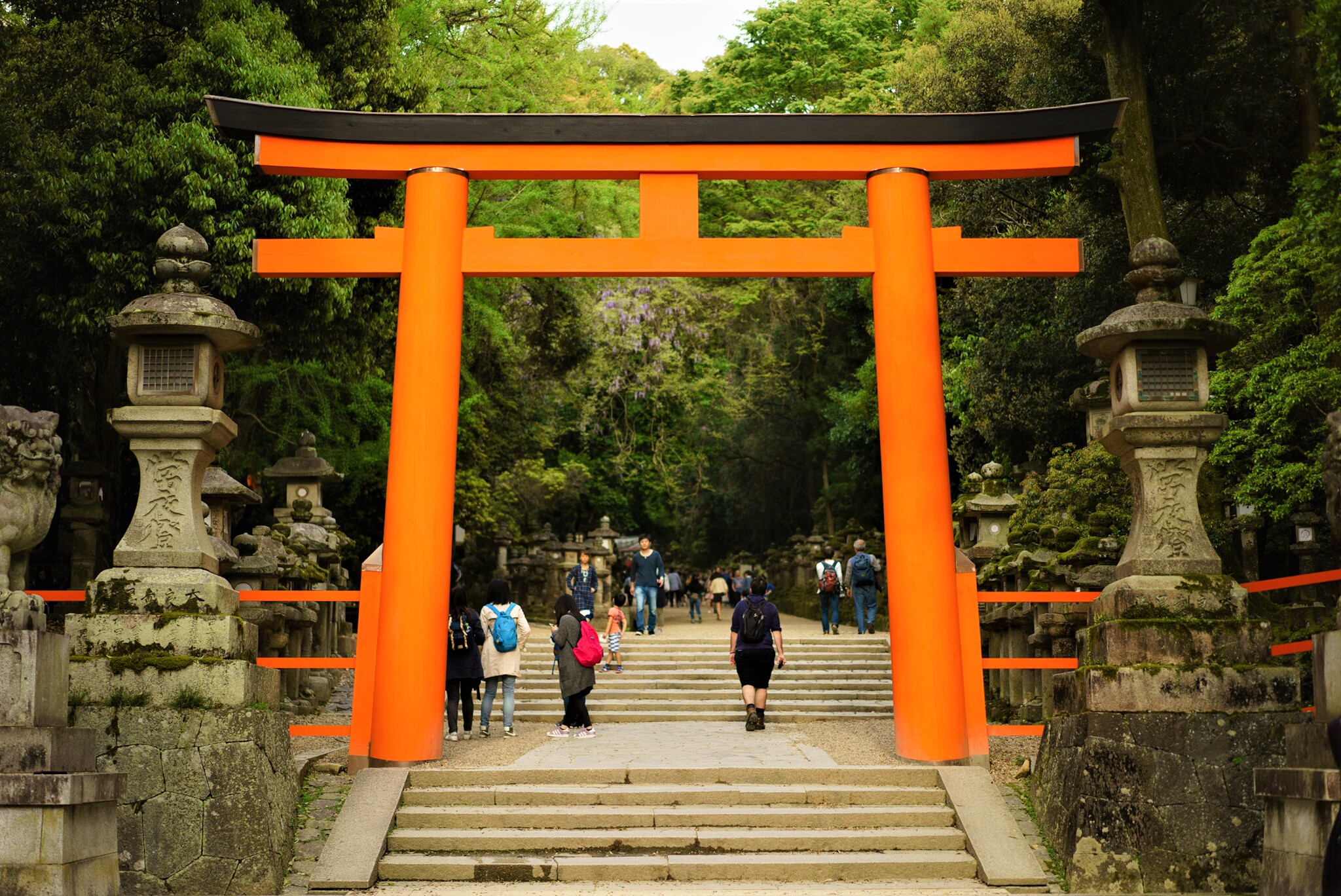 Entrance to Kasuga-Taisha Shrine