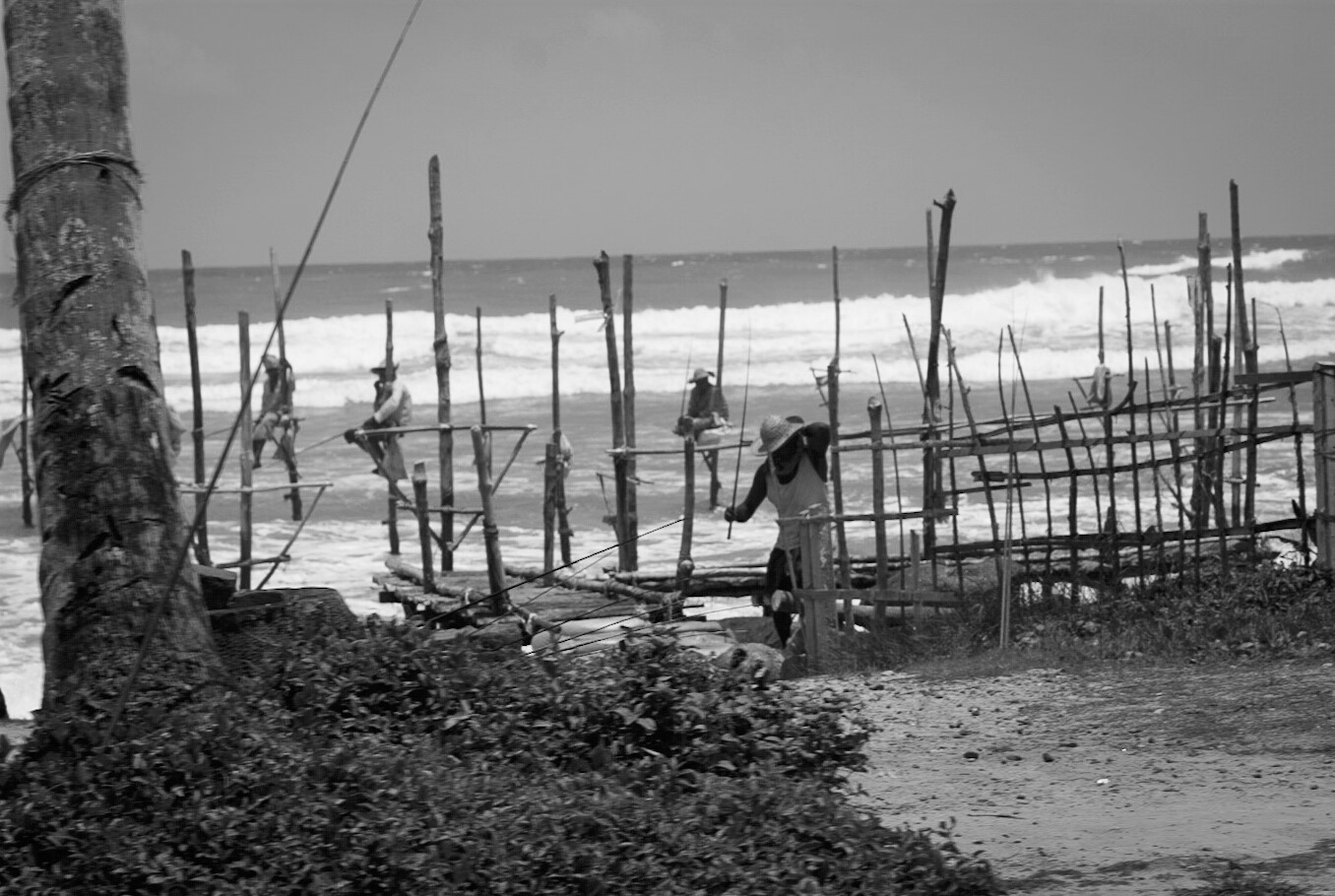 Pêcheurs sur échasse au Sri Lanka