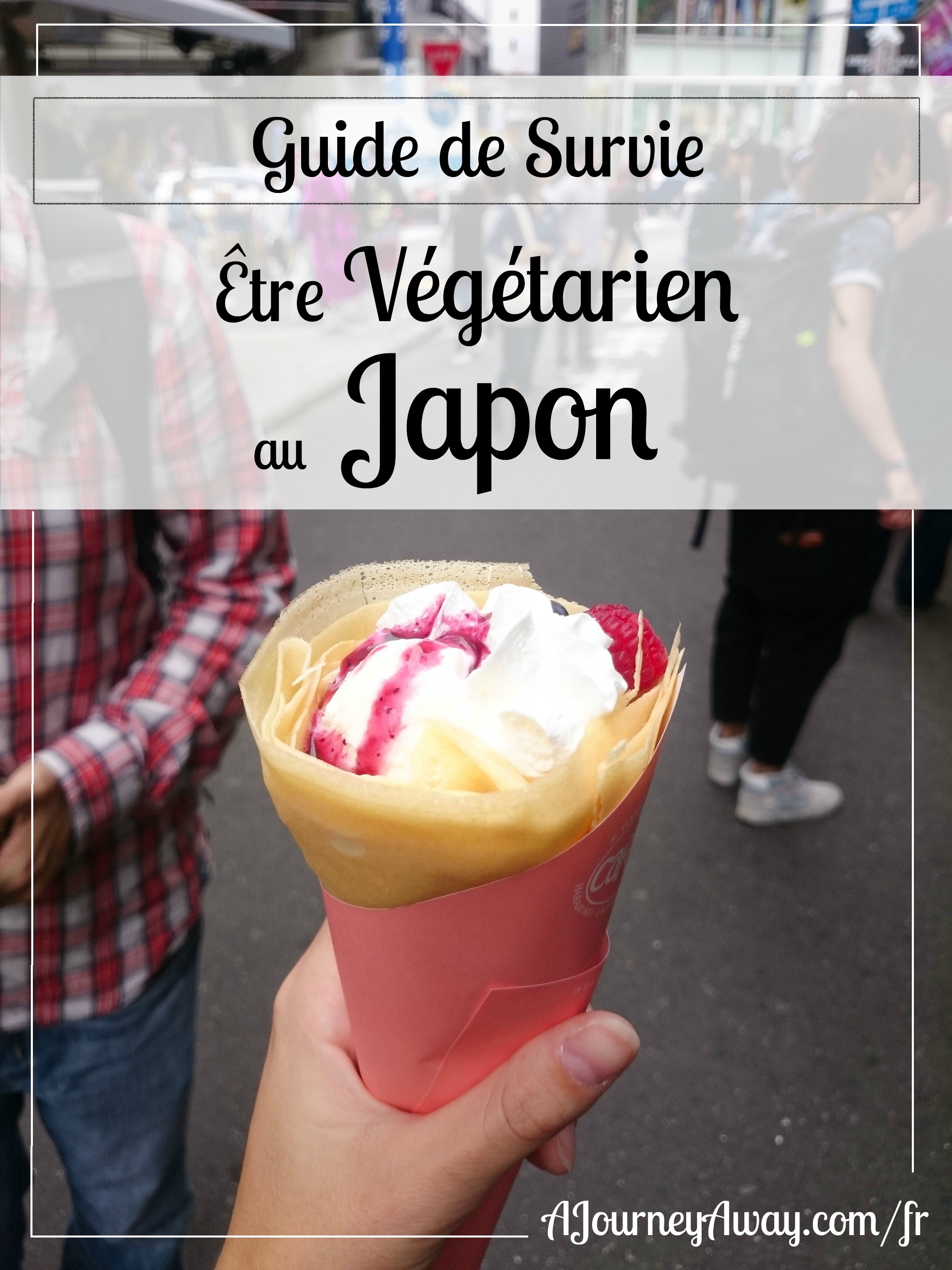 Conseils pour survivre en tant que végétarien au Japon | Blog de voyage A Journey Away